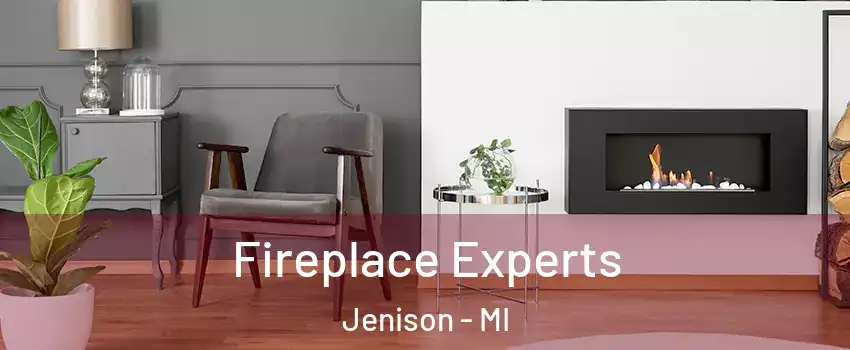  Fireplace Experts Jenison - MI