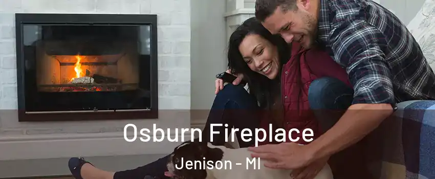  Osburn Fireplace Jenison - MI